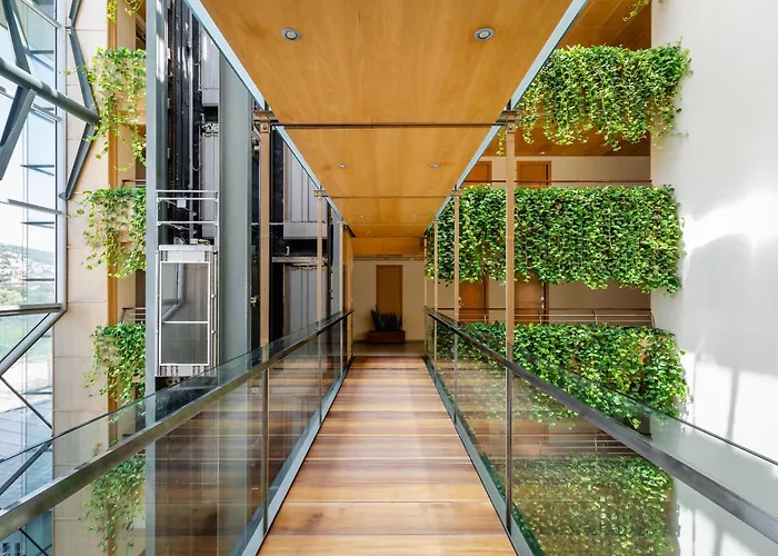 ALEGRIA Caprici Verd 4 SUP